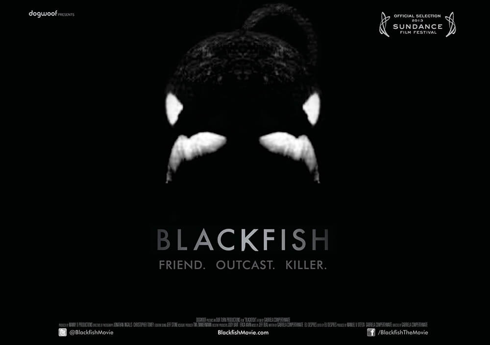 hosting_the_cast_and_crew_of_Blackfish_2014